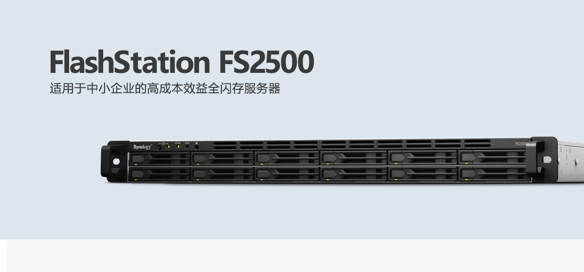 FS2500.png